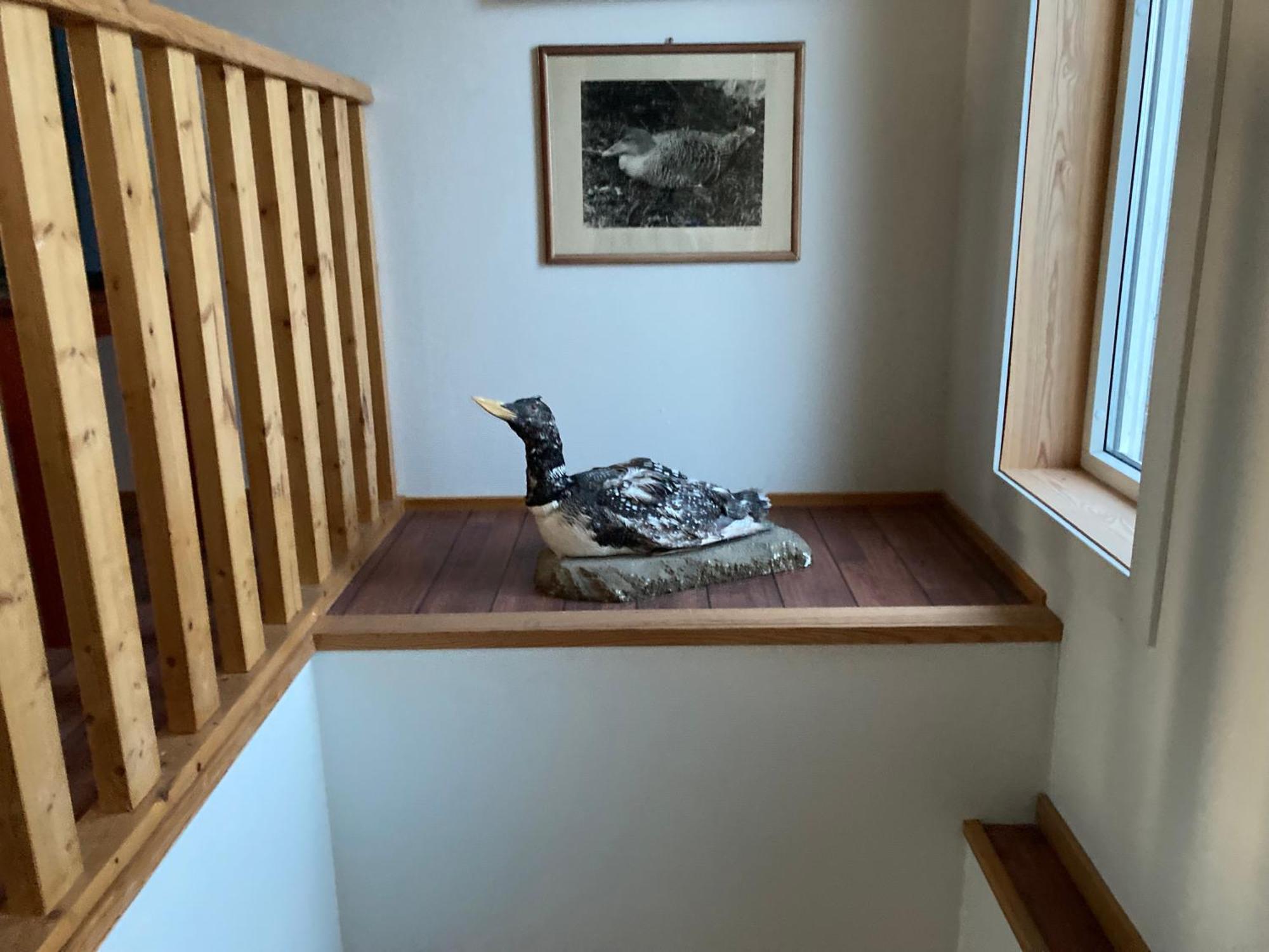 Fiskarheimen Havly, Rost Otel Dış mekan fotoğraf